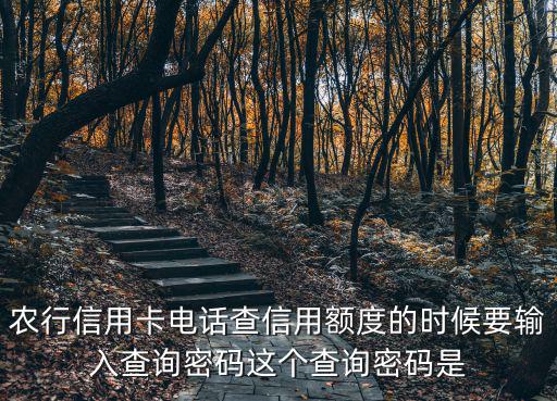 查詢密碼，手機密碼查詢