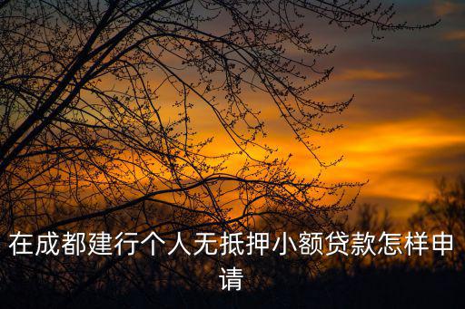 成都個人貸款，在成都個人怎么申請銀行貸款