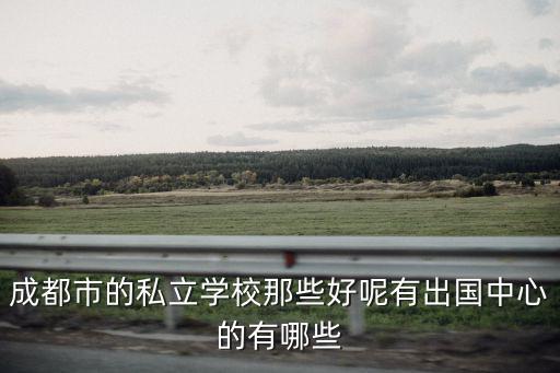 成都私立學校排名，成都民辦中學升學率排名