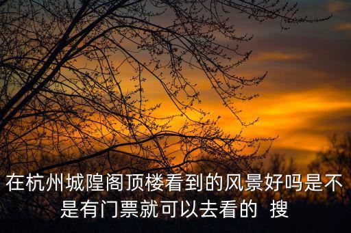 在杭州城隍閣頂樓看到的風景好嗎是不是有門票就可以去看的  搜