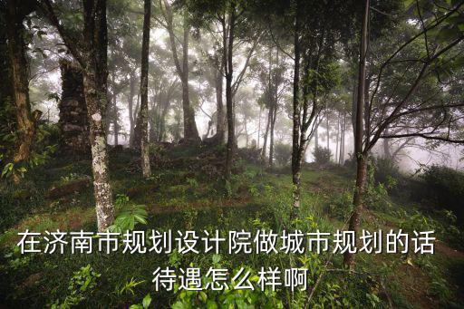 在濟南市規劃設計院做城市規劃的話 待遇怎么樣啊