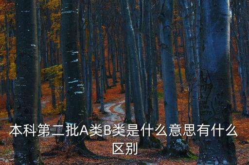 本科第二批，大學里的本科二批是啥是只能報二本專業