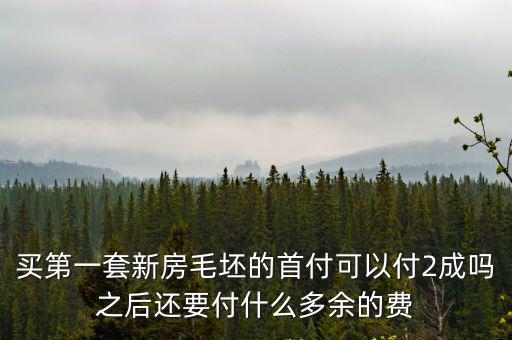 二成首付，買第一套新房毛坯的首付可以付2成嗎之后還要付什么多余的費