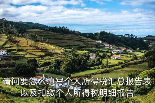 請問要怎么填寫個人所得稅匯總報告表以及扣繳個人所得稅明細報告