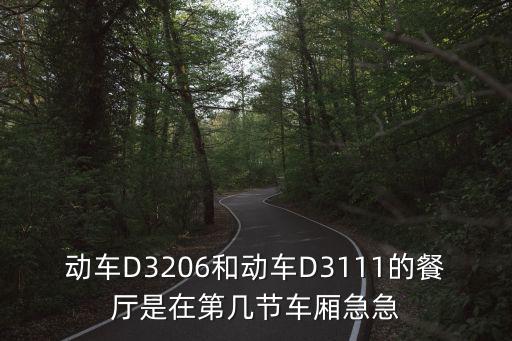 動車D3206和動車D3111的餐廳是在第幾節車廂急急