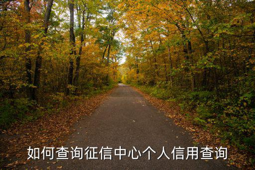 個(gè)人征信查詢(xún)中心，個(gè)人征信查詢(xún)網(wǎng)上查詢(xún)方法 個(gè)人信用報(bào)告怎么查