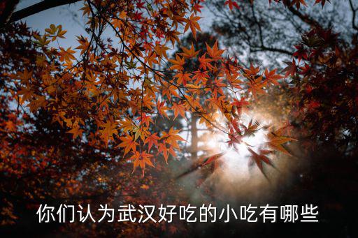 你們認(rèn)為武漢好吃的小吃有哪些