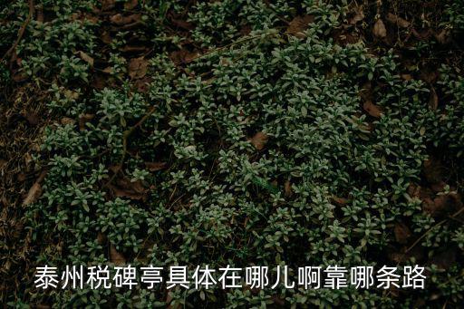 泰州稅碑亭具體在哪兒啊靠哪條路