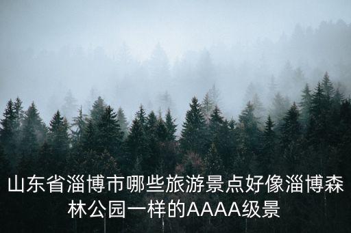 山東省淄博市哪些旅游景點好像淄博森林公園一樣的AAAA級景