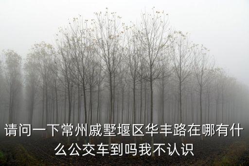 請問一下常州戚墅堰區華豐路在哪有什么公交車到嗎我不認識