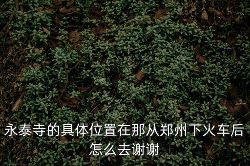 永泰寺的具體位置在那從鄭州下火車后怎么去謝謝