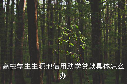 大學(xué)生生源地助學(xué)貸款，大學(xué)生辦理生源地助學(xué)貸款的實際流程