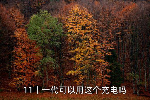 11丨一代可以用這個充電嗎