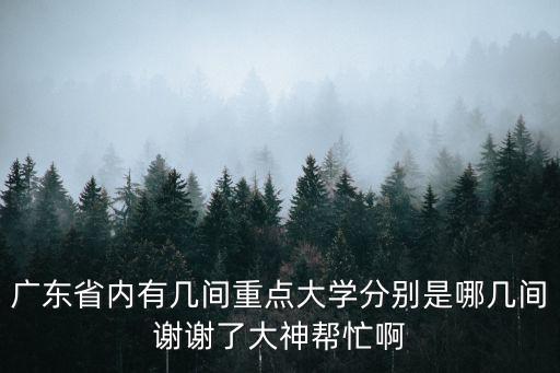 廣東省內有幾間重點大學分別是哪幾間謝謝了大神幫忙啊