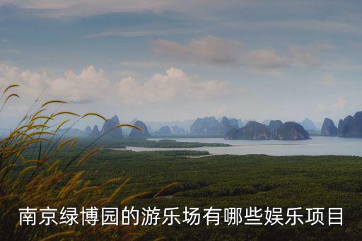 游樂園有什么項目，游樂園哪些項目是直線運動