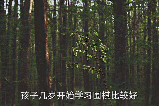 孩子幾歲開始學習圍棋比較好