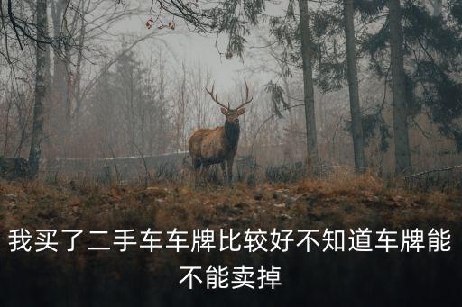 我買了二手車車牌比較好不知道車牌能不能賣掉