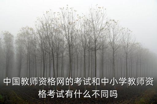 中國教師資格網的考試和中小學教師資格考試有什么不同嗎