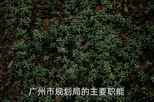 廣州市規(guī)劃局的主要職能