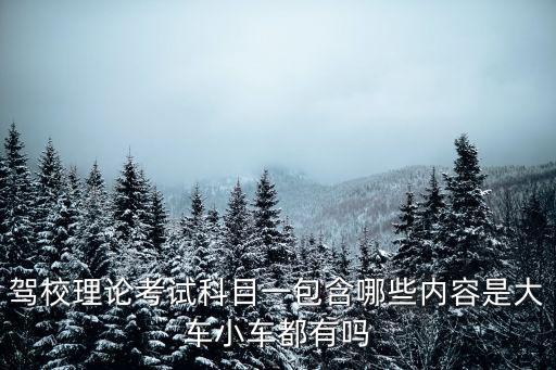 駕校理論考試科目一包含哪些內容是大車小車都有嗎