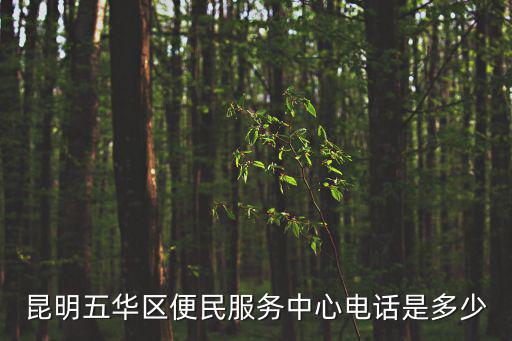 昆明五華區便民服務中心電話是多少