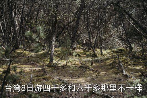 臺灣8日游四千多和六千多那里不一樣
