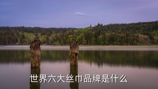 世界六大絲巾品牌是什么
