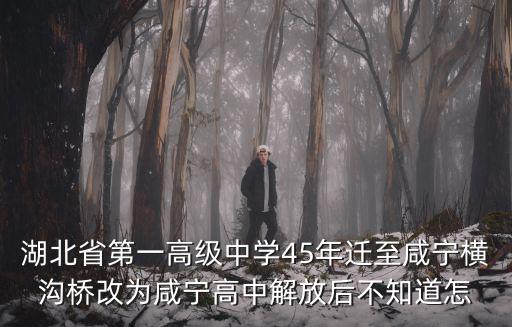 湖北省第一高級中學45年遷至咸寧橫溝橋改為咸寧高中解放后不知道怎