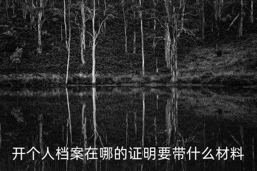 開個人檔案在哪的證明要帶什么材料