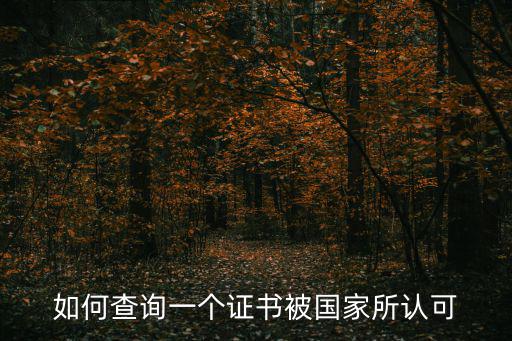 如何查詢一個證書被國家所認可