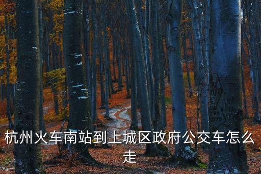 上城區政府，杭州火車南站到上城區政府公交車怎么走