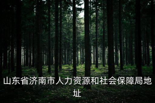 山東省濟南市人力資源和社會保障局地址