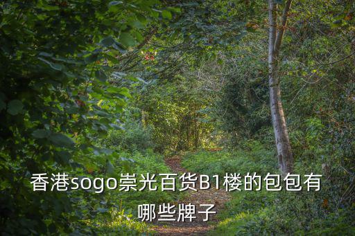 香港sogo官網，香港sogo崇光百貨B1樓的包包有哪些牌子