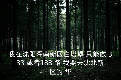 我在沈陽渾南新區白塔堡 只能做 333 或者188 路 我要去沈北新區的 華
