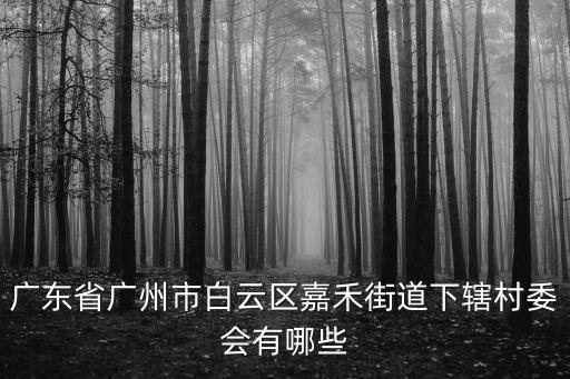 廣東省廣州市白云區嘉禾街道下轄村委會有哪些