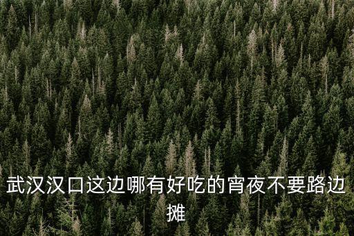 武漢漢口這邊哪有好吃的宵夜不要路邊攤