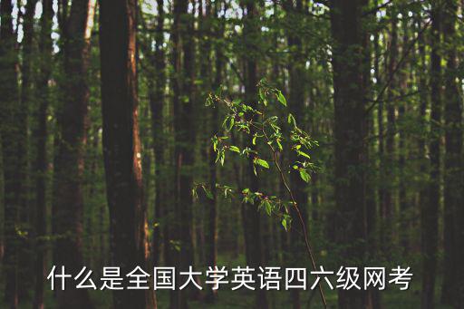 什么是全國大學英語四六級網考