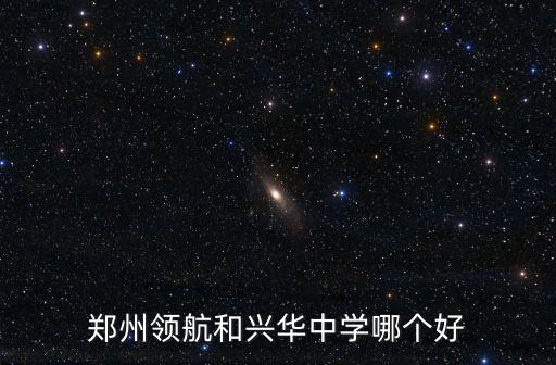 鄭州領航和興華中學哪個好