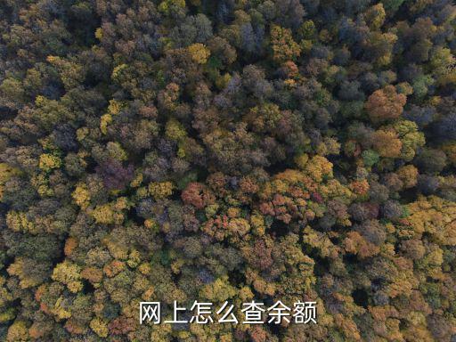 賬戶余額查詢，怎樣查賬戶余額