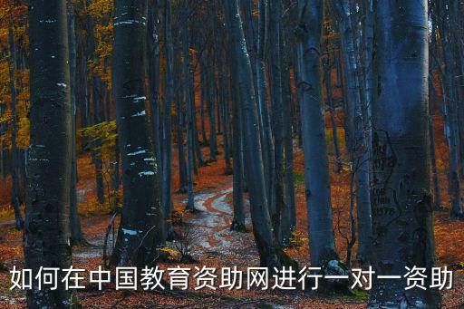 如何在中國教育資助網(wǎng)進(jìn)行一對一資助