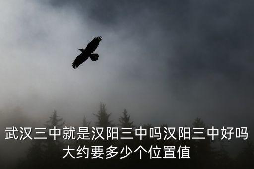 武漢三中就是漢陽(yáng)三中嗎漢陽(yáng)三中好嗎大約要多少個(gè)位置值