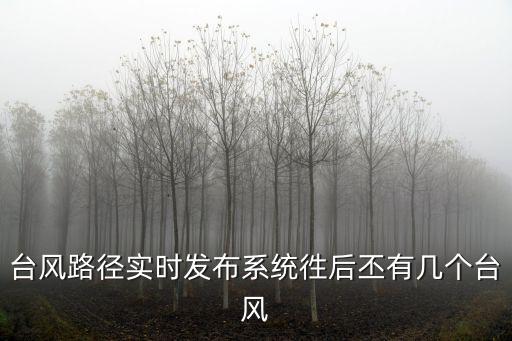 臺風路徑實時發布系統徃后丕有幾個臺風