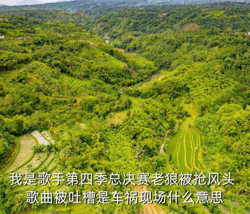 我是歌手第四季總決賽老狼被搶風頭 歌曲被吐槽是車禍現場什么意思