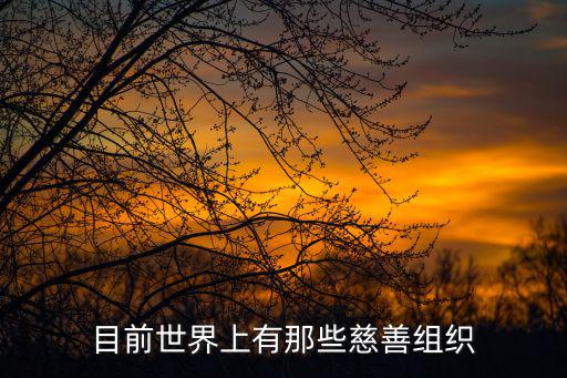 目前世界上有那些慈善組織