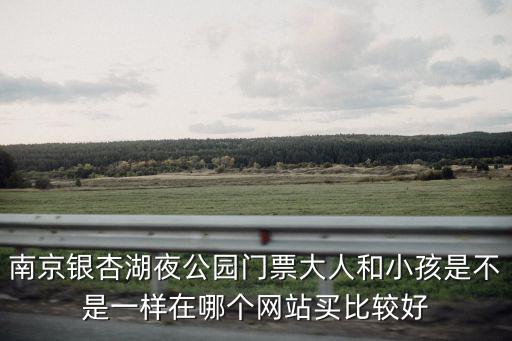 南京銀杏湖夜公園門票大人和小孩是不是一樣在哪個網站買比較好