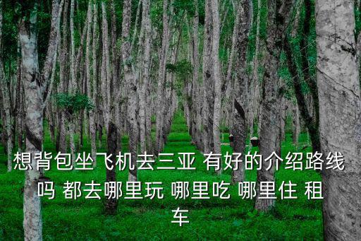 想背包坐飛機去三亞 有好的介紹路線嗎 都去哪里玩 哪里吃 哪里住 租車