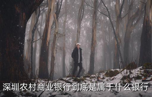 深圳農村商業銀行到底是屬于什么銀行