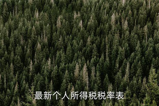 個(gè)人所得稅表，請(qǐng)問(wèn)要怎么填寫(xiě)個(gè)人所得稅匯總報(bào)告表以及扣繳個(gè)人所得稅明細(xì)報(bào)告