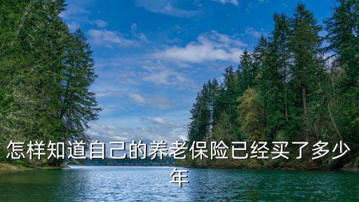 如何查詢社保交了多少年，網上怎么查詢自己買了幾年社保卡