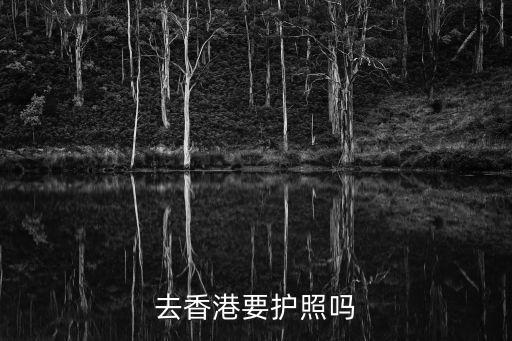 去香港要護照嗎